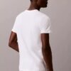 Cotton Classics 3’lü Paket Klasik Kesim Bisiklet Yaka Tişört Cotton Classics 3’lü Paket Klasik Kesim Bisiklet Yaka Tişört