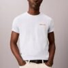 Diner Calvin Klein Grafik Logo Tişört