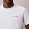 Diner Calvin Klein Grafik Logo Tişört