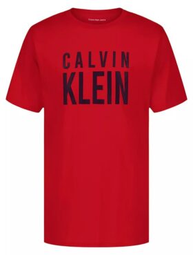 Erkek Çocuk Logo Grafikli Klasik Tişört