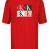 Erkek Çocuk Renk Bloklu Monogram Grafikli Klasik Tişört