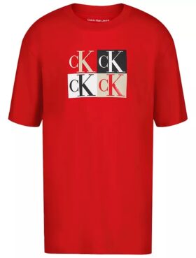 Erkek Çocuk Renk Bloklu Monogram Grafikli Klasik Tişört