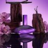 Euphoria Bold Elixir Euphoria Bold Elixir