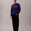 Fleece Çizgili Klasik Sweatshirt Fleece Çizgili Klasik Sweatshirt