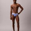 Fırçalanmış Mikrofiber Streç Hip Külotu