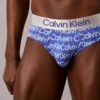 Fırçalanmış Mikrofiber Streç Hip Külotu