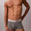 Fırçalanmış Mikrofiber Streç Low Rise Trunk Fırçalanmış Mikrofiber Streç Low Rise Trunk