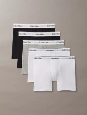 Icon Cotton Stretch 5’li Paket Bokser Brief