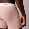Icon Cotton Stretch Boxer Brief
