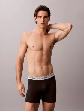 Icon Cotton Stretch Metalik 3’lü Boxer Brief