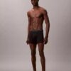 Icon Cotton Stretch Sınırlı Sayıda Üretilen Boxer Brief