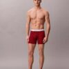 Icon Cotton Stretch Sınırlı Sayıda Üretilen Boxer Brief