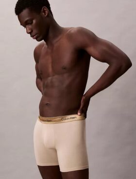Icon Cotton Stretch Sınırlı Sayıda Üretilen Boxer Brief