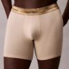 Icon Cotton Stretch Sınırlı Sayıda Üretilen Boxer Brief