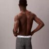 Icon Cotton Stretch Sınırlı Sayıda Üretilen Boxer Brief