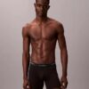 Icon Cotton Stretch Sınırlı Sayıda Üretilen Boxer Brief