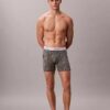 Icon Cotton Stretch Sınırlı Sayıda Üretilen Boxer Brief