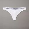 Icon Logo Thong