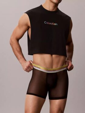 Icon Mesh Pride Boxer Brief