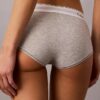 Icon Pamuk Modal Boyshort