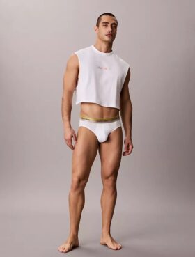 Icon Pamuklu Cotton Stretch Pride Hip Brief