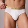 Icon Pamuklu Cotton Stretch Pride Hip Brief