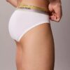 Icon Pamuklu Cotton Stretch Pride Hip Brief