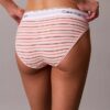 Icon Pamuklu Modal Bikini