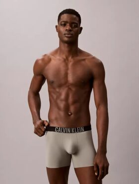 Intense Power Motion Bokser Brief Intense Power Motion Bokser Brief