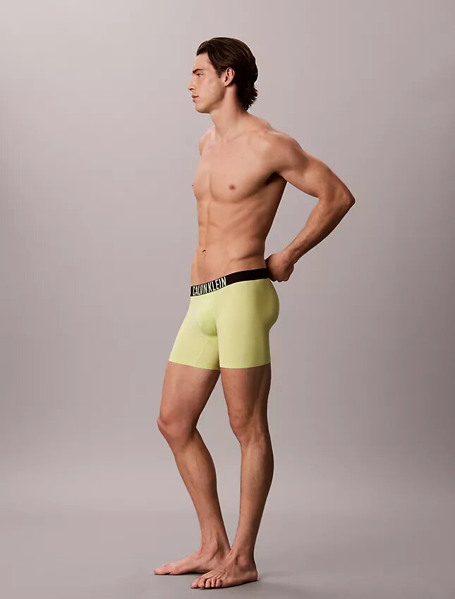 Intense Power Motion Bokser Brief Intense Power Motion Bokser Brief