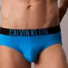 Intense Power Motion Brief