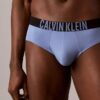 Intense Power Motion Brief
