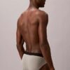 Intense Power Motion Brief