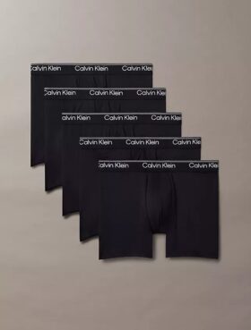Microfiber Streç 5’li Paket Boxer Brief