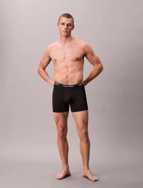 Microfiber Streç 5’li Paket Boxer Brief
