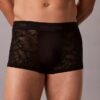 Mikrofiber Dantel Low Rise Trunk Mikrofiber Dantel Low Rise Trunk