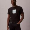 Modern Calvin Klein Grafik Logo Tişört