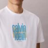 Modern Calvin Klein Grafik Logo Tişört Modern Calvin Klein Grafik Logo Tişört