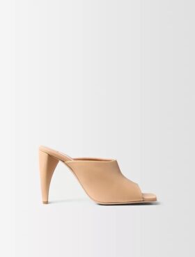 Palma Mule