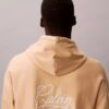 Premium Polar Matchbox Logo Grafik Kapüşonlu Sweatshirt Premium Polar Matchbox Logo Grafik Kapüşonlu Sweatshirt