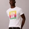 Pride Logo Bloklu Kolay Tişört