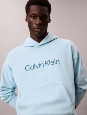 Standart Logolu Havlu Kapüşonlu Sweatshirt