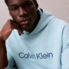 Standart Logolu Havlu Kapüşonlu Sweatshirt