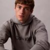 Standart Logolu Havlu Kapüşonlu Sweatshirt