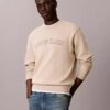 Varsity Logo Grafikli Polar Sweatshirt Varsity Logo Grafikli Polar Sweatshirt