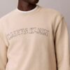 Varsity Logo Grafikli Polar Sweatshirt Varsity Logo Grafikli Polar Sweatshirt