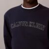 Varsity Logo Grafikli Polar Sweatshirt Varsity Logo Grafikli Polar Sweatshirt