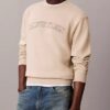 Varsity Logo Grafikli Polar Sweatshirt Varsity Logo Grafikli Polar Sweatshirt